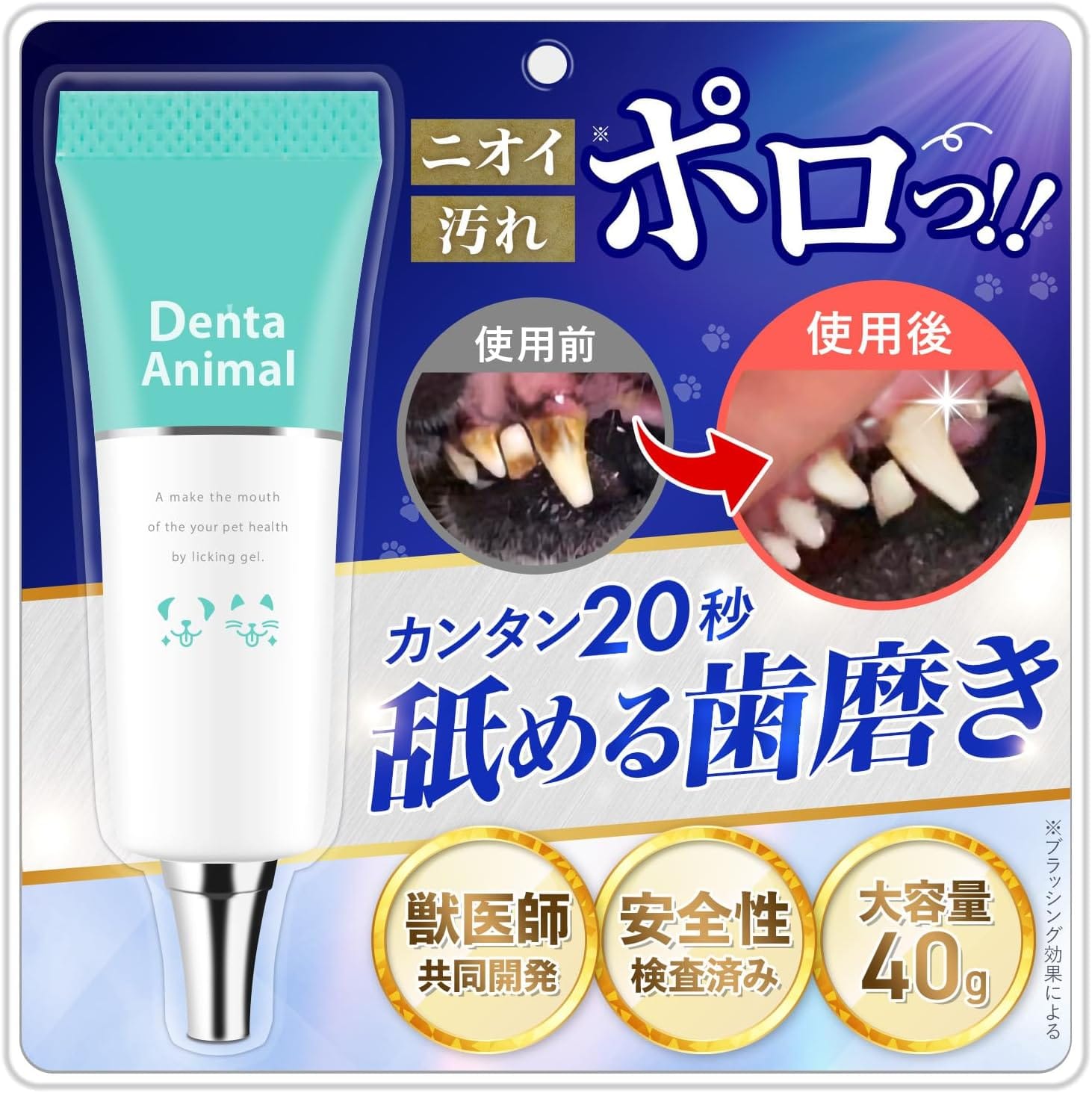 dental2